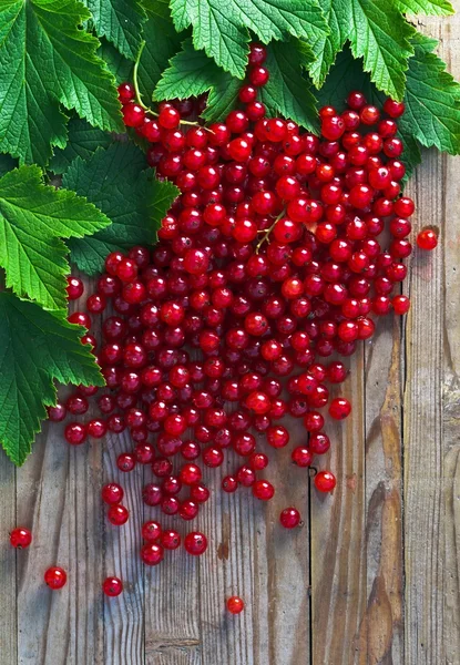 Red currant on wooden table — Stock Photo, Image