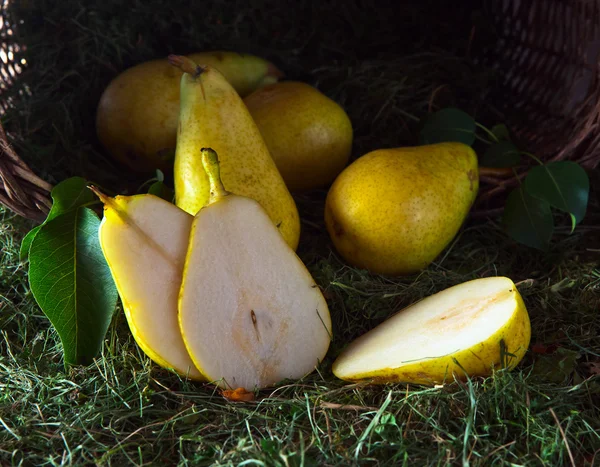 Yellow pears in old basket — Stock fotografie