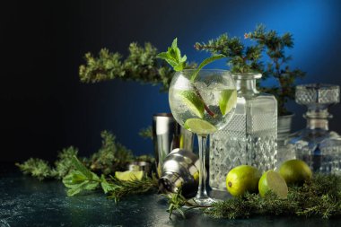 Buzlu ve limonlu cin tonik. Malzemeli cin tonik ve koyu mavi arka planda ardıç dalları. Boşluğu kopyala.