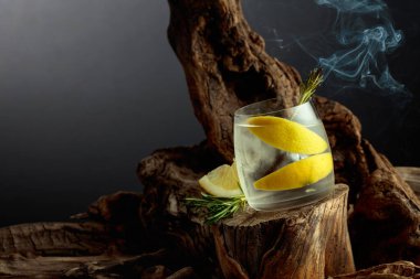 Kokteyl cini ve tonik eski bir kütüğün üzerinde buzun üzerinde. Limon dilimleri ve yanan biberiye filizi ile soğuk, ferahlatıcı bir içecek. Boşluğu kopyala.