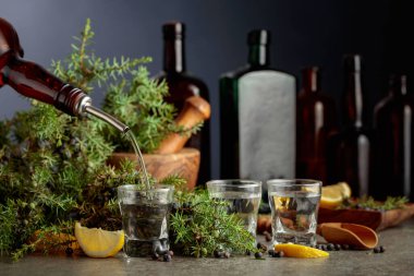 Dal üstünde taze böğürtlen ve ardıç meyveli cin. Cin, eski bir şişeden bardağa dökülür..