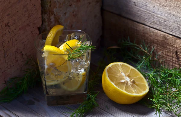 Gin z cytryny i jałowca oddział — Zdjęcie stockowe