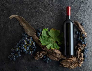 Bir şişe kırmızı şarap, mavi üzüm ve siyah taşlı arka planda eski asma parçaları. Üst Manzara. Boşluğu kopyala.