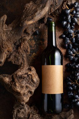 Bir şişe kırmızı şarap, mavi üzümler ve yıpranmış eski parçalar. Eski boş bir şişede. Metninizi etikete yerleştirin.