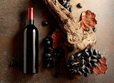 Paslı arka planda mavi üzümlü bir şişe kırmızı şarap ve kurumuş asma yaprakları. Vinery kavramı. Üst Manzara. Boşluğu kopyala.