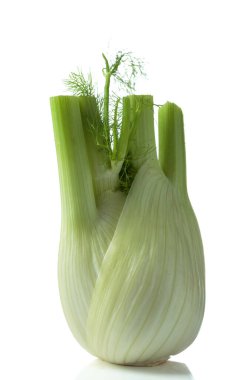 Beyaz arka planda yeşil saplı ve yapraklı rezene ampulünü kapat..