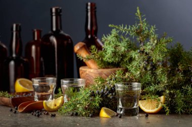 Limon dilimli ardıç çileği cini ve dallarda taze böğürtlen. Arka planda kaliteli renkli cam şişeler var..