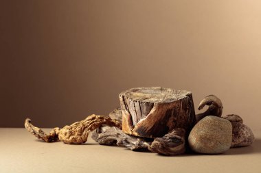 Doğal ahşap kaplamalı kompozisyon ve eko ürünlerin reklamları için kuru kütük. Kopyalama alanı olan bej arkaplan.