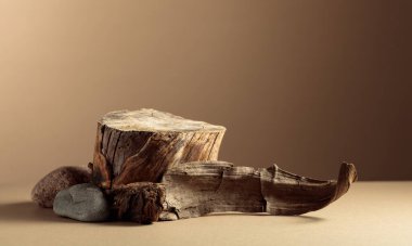 Doğal ahşap kaplamalı kompozisyon ve eko ürünlerin reklamları için kuru kütük. Kopyalama alanı olan bej arkaplan.