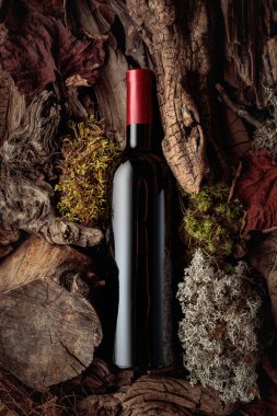 Bir şişe kırmızı şarap yosun ve kuru akıntıya karşı. Zengin ve doğal dokuları olan kavramsal bir görüntü. Üst görünüm, alanı kopyala.