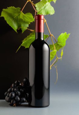 Mavi üzümlü bir şişe kırmızı şarap ve üzüm dalları. Boşluğu kopyala.