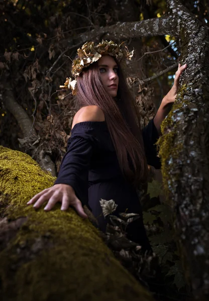 Bruja en el bosque oscuro — Foto de Stock