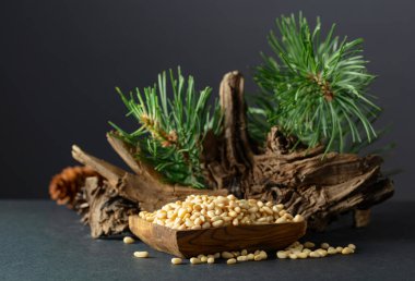 Çam fıstığı soyulmuş, sedir ağacı kurumuş ve yeşil dalları var. Siyah arka planda ahşap tabakta çam fıstığı.