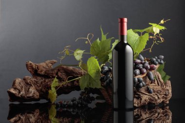 Mavi üzümlü bir şişe kırmızı şarap ve üzüm dalları. Boşluğu kopyala.