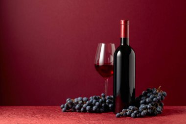 Bottle and glass of red wine with blue grapes on a red background. Copy space.