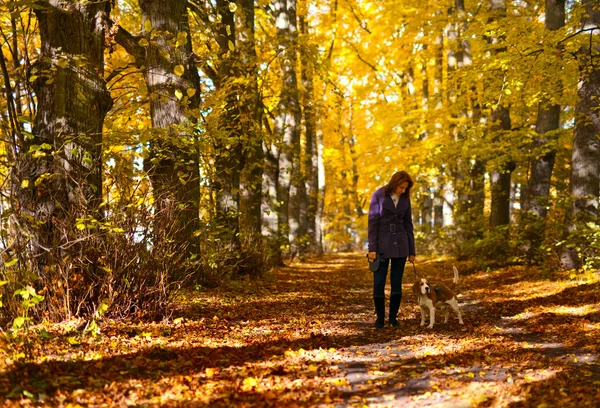 Promenera i parken — Stockfoto