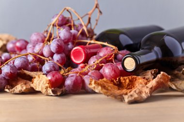 Kırmızı şaraplı şişeler.