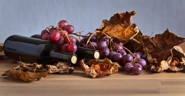 Garrafas com vinho tinto — Fotografia de Stock