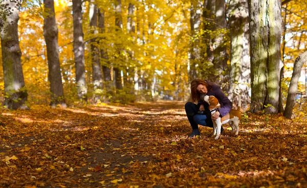 Passeggiata nel parco — Foto Stock