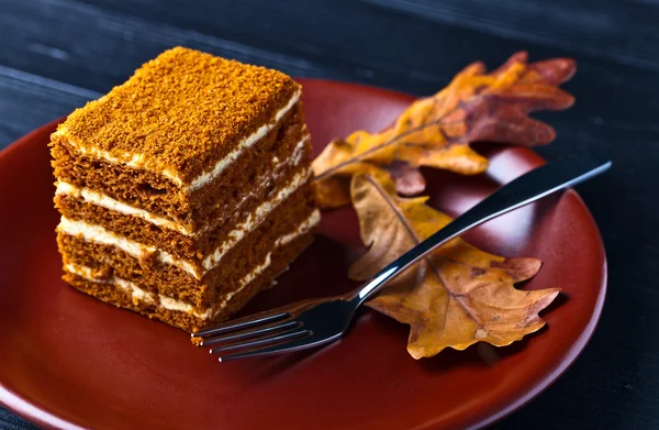 自家製の蜂蜜ケーキ — ストック写真
