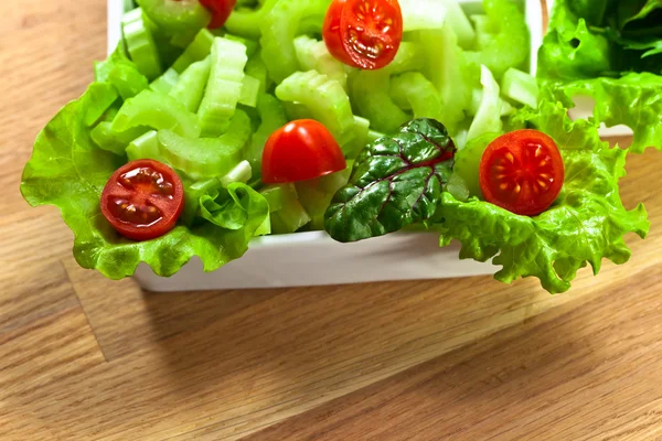 Salad with celery, tomatoes and fresh greens — Stock Photo, Image