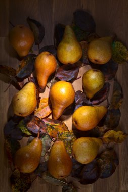 Kurutulmuş yaprakları ile sulu olgun armut