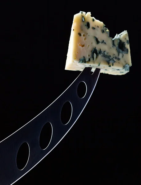 Gorgonzola on a black background — Stock Photo, Image