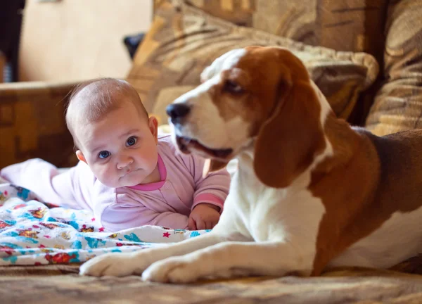 Köpekli küçük kız. — Stok fotoğraf