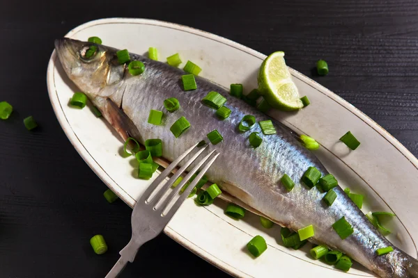 Herring with green onion — Stock Photo, Image