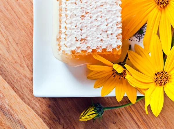 Honung och blommor av jordärtskocka — Stockfoto