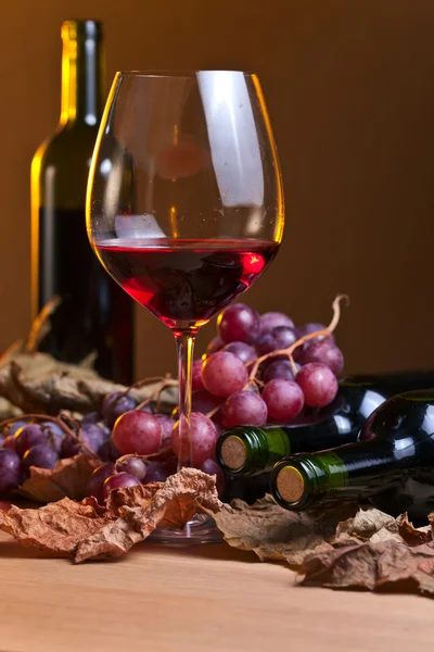 Vino tinto y uvas — Foto de Stock