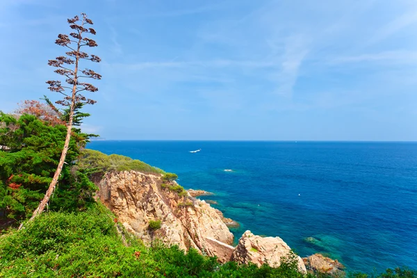 Mediterranean coast of Spain — Stock Photo, Image