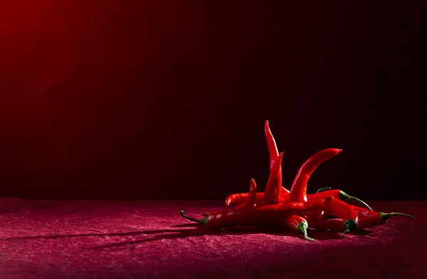 Faisceau de piment rouge — Photo