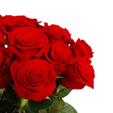 beyaz arkaplanda yükseldi