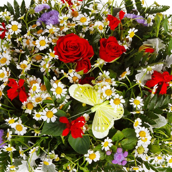 Blumen auf weißem Hintergrund — Stockfoto