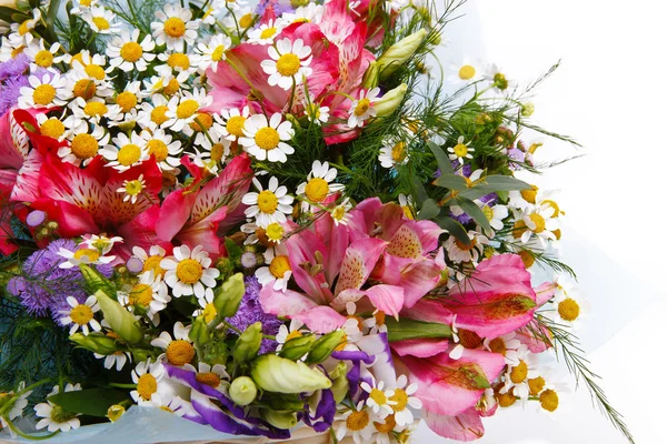 Beyaz arkaplanda çiçekler