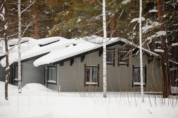 Casa Madera Gris Con Techo Cubierto Nieve Bosque Pinos Invierno — Foto de Stock