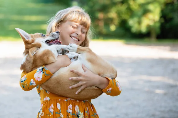 Девушка Держит Руках Чистокровную Валлийскую Собаку Корги Пембрук — стоковое фото