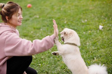 Kız bir köpekle oynuyor yeşil çimlerde Tibetli bir spanyel. Seçici odak, bulanık arkaplan.