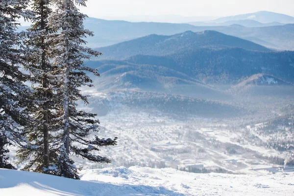 Nádherná Zimní Horská Krajina Bílé Načechrané Sněhem Pokryté Jedle Majestátní — Stock fotografie