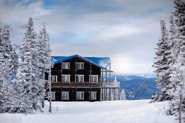 Natural Landscape Wooden Rural House Fluffy Snowy Fir Trees Backdrop — Stock Photo, Image