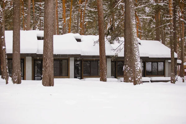 Wooden House Snow Covered Roof Winter Pine Forest — Stock Photo, Image