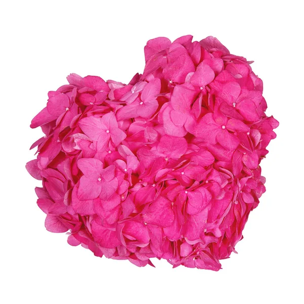 Рожеве Або Червоне Серце Зроблене Квітки Гідроангеї Білому Ізольованому Тлі — стокове фото