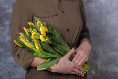 Nötr gri dokulu arka planda, kadın ellerinde sarı laleler. Web tasarımı için başlık, hediye kartı.