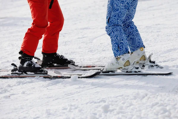 Twee Paar Skievoeten Glijden Van Een Besneeuwde Piste Tijdens Training — Stockfoto