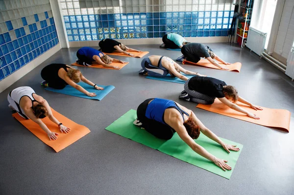 女人们在健身房锻炼时表现得很健康 顶部视图 — 图库照片