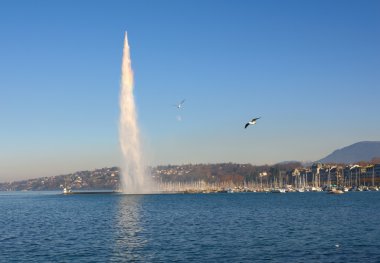 Jet d'Eau üzerinde göster