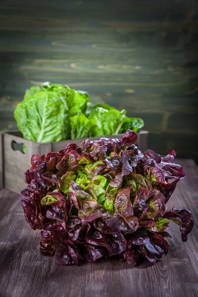 Lechuga surtida sobre mesa de madera — Foto de Stock