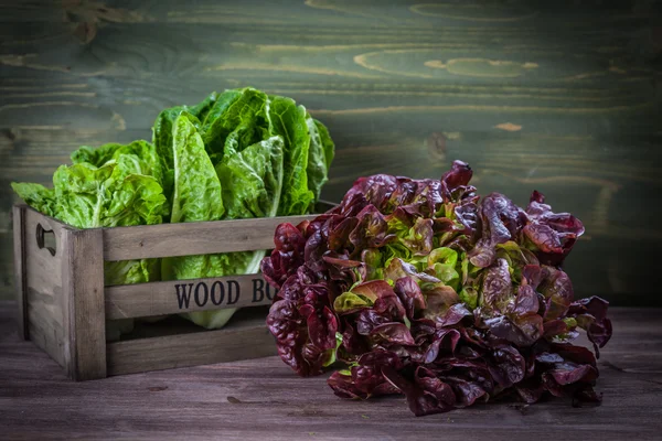 Lechuga surtida sobre mesa de madera — Foto de Stock