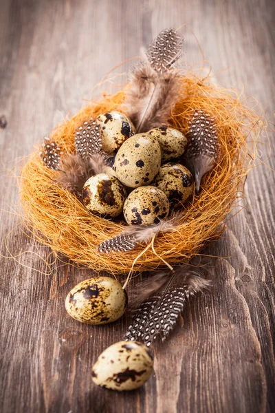 Easter eggs with nest — Stock Photo, Image